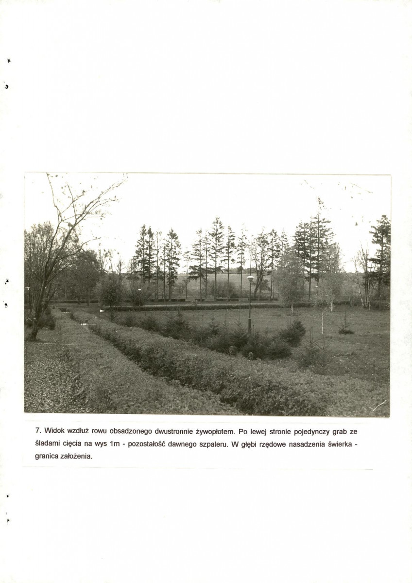 Ewidencja parkowa, skan nr 35