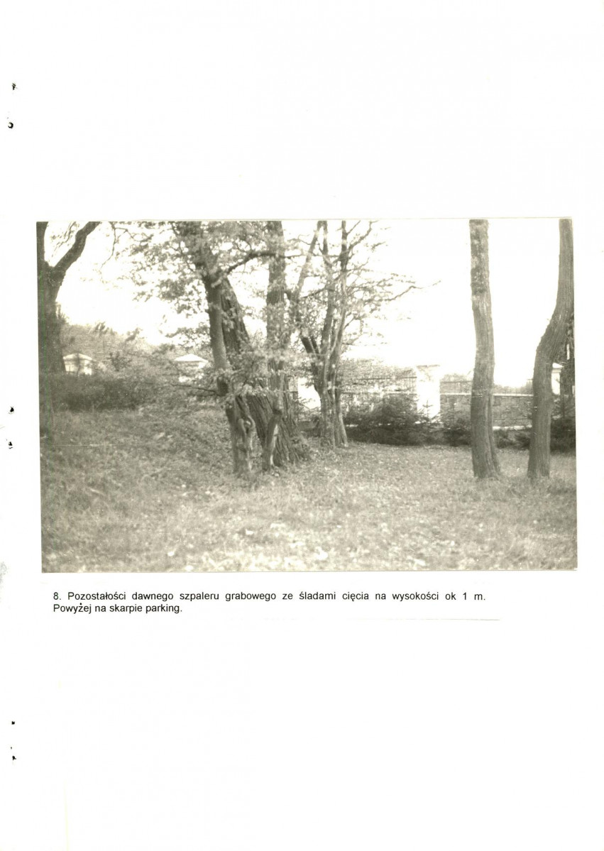 Ewidencja parkowa, skan nr 36