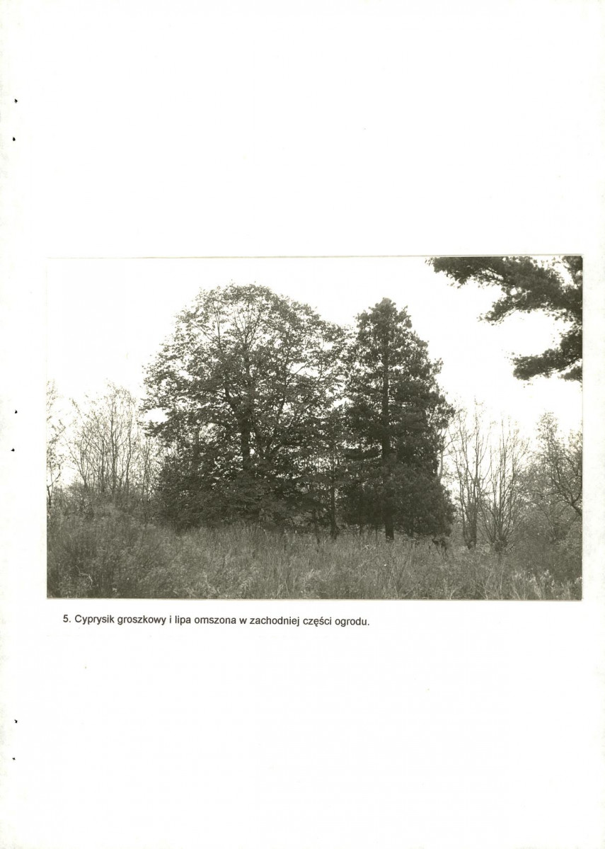 Ewidencja parkowa, skan nr 32