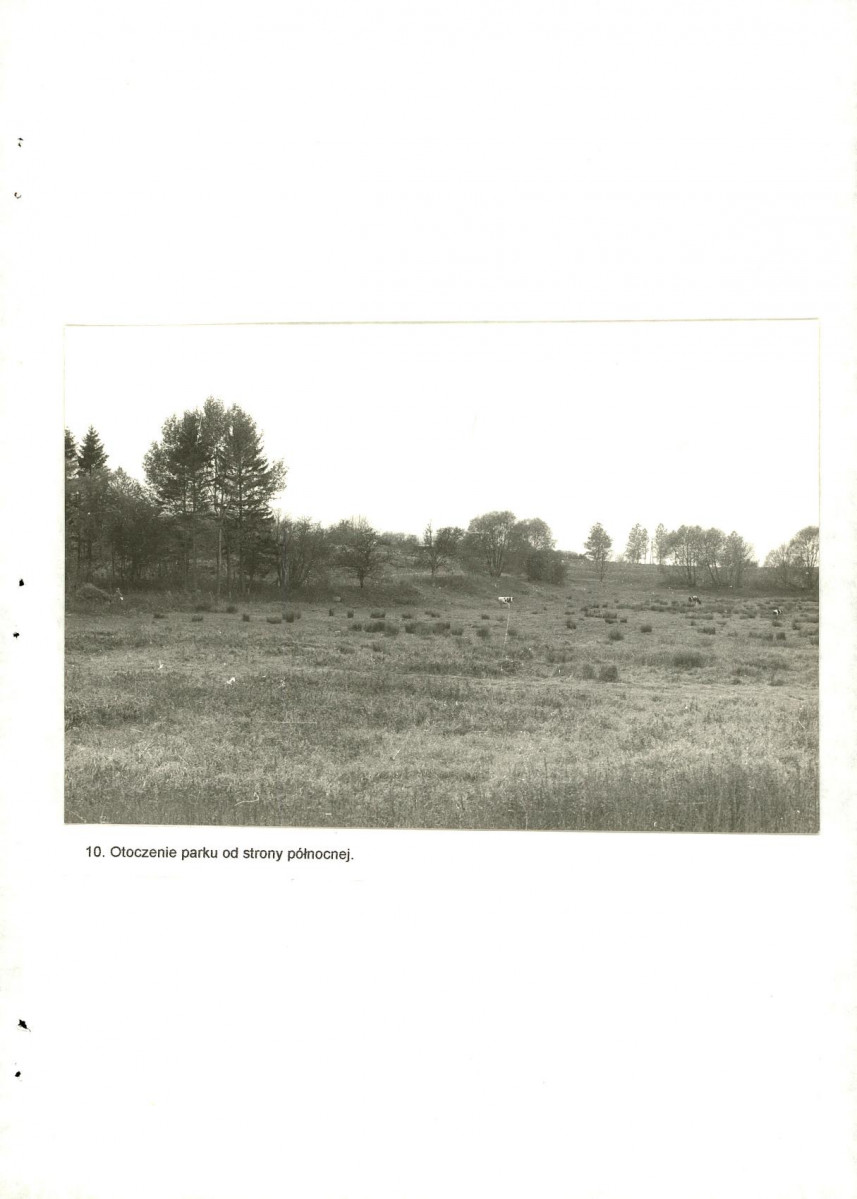 Ewidencja parkowa, skan nr 37