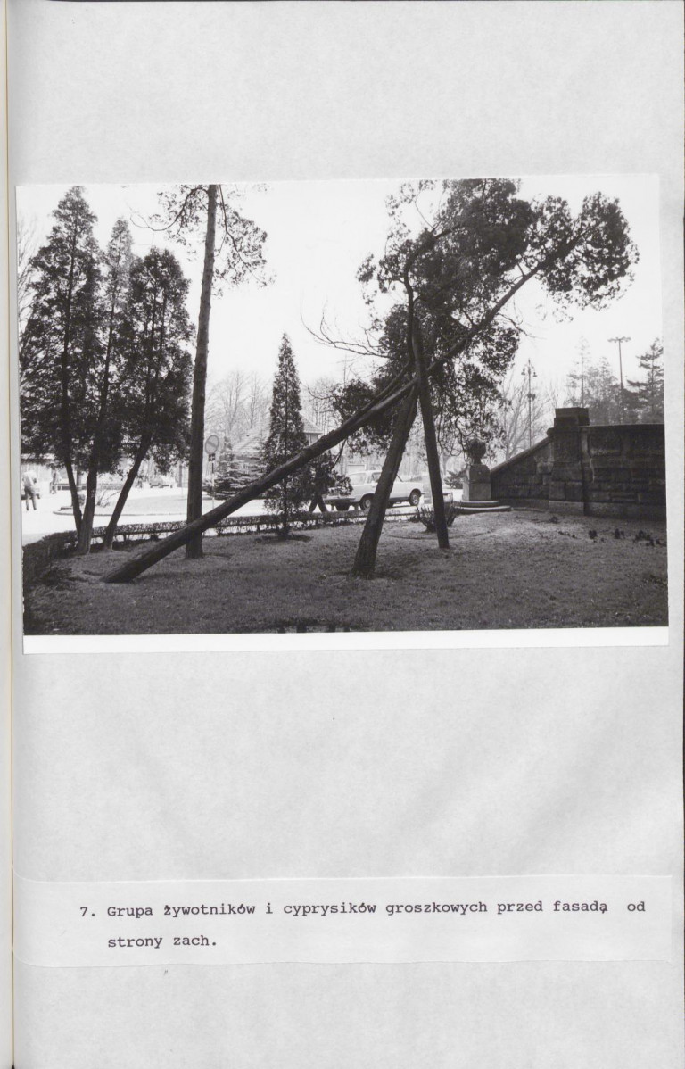 Ewidencja parkowa, skan nr 65