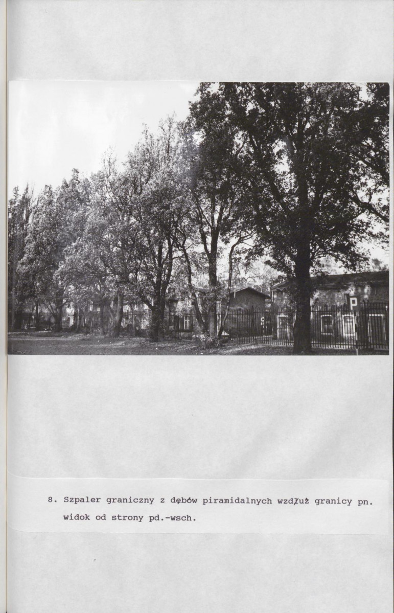 Ewidencja parkowa, skan nr 66