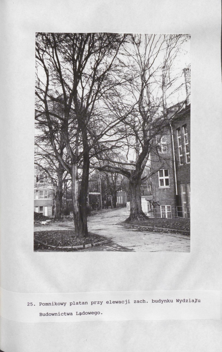 Ewidencja parkowa, skan nr 83