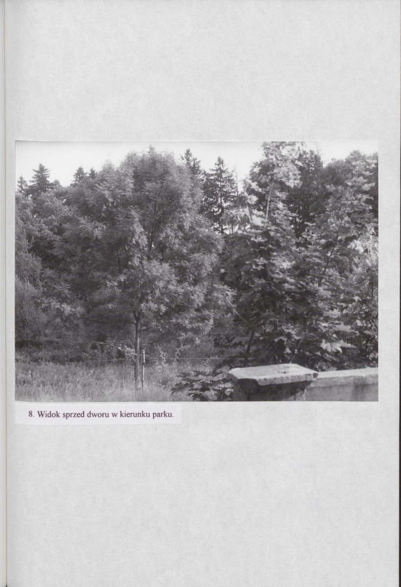 EP - Ewidencja parkowa, skan nr 37