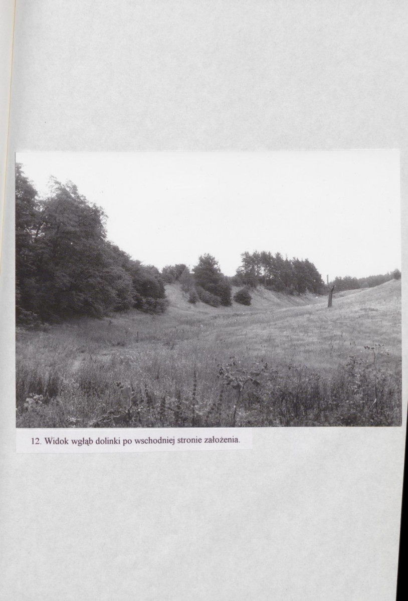 EP - Ewidencja parkowa, skan nr 41