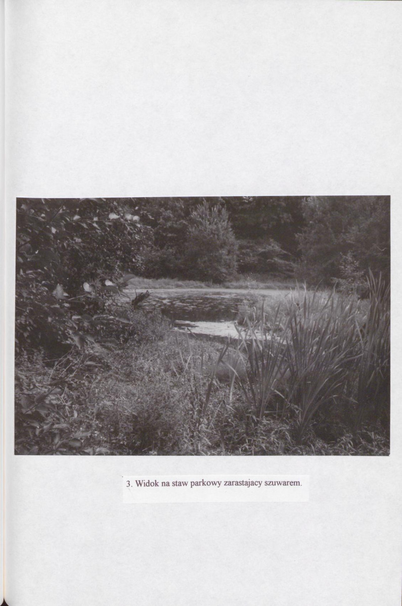 EP - Ewidencja parkowa, skan nr 28
