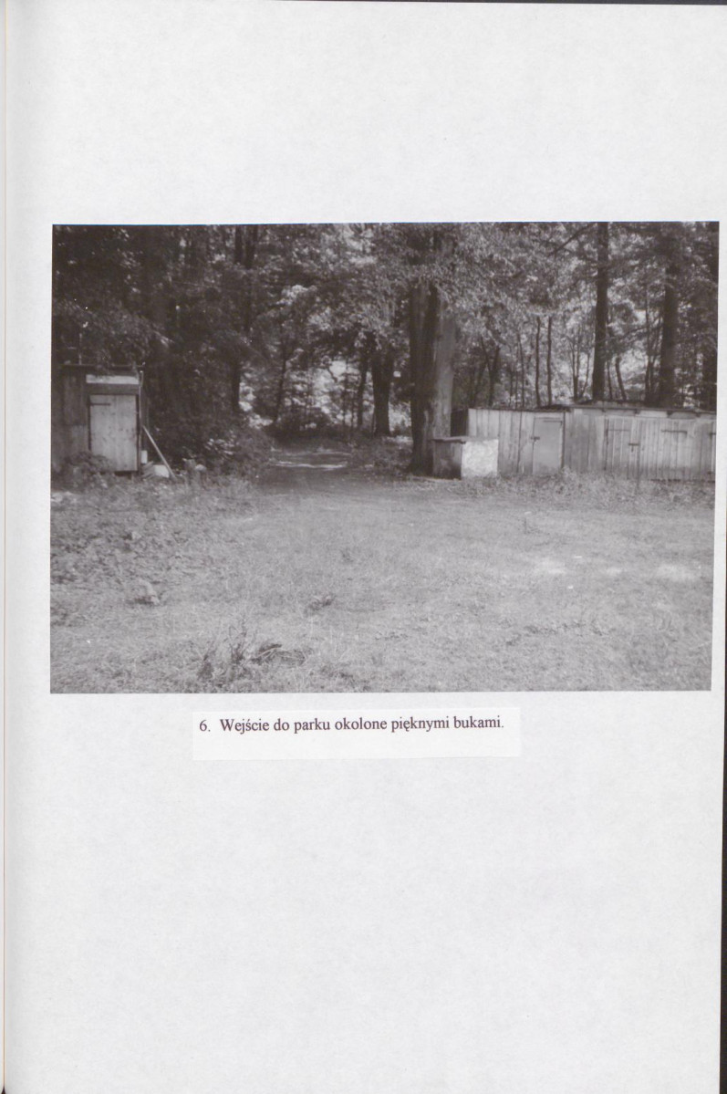 EP - Ewidencja parkowa, skan nr 31
