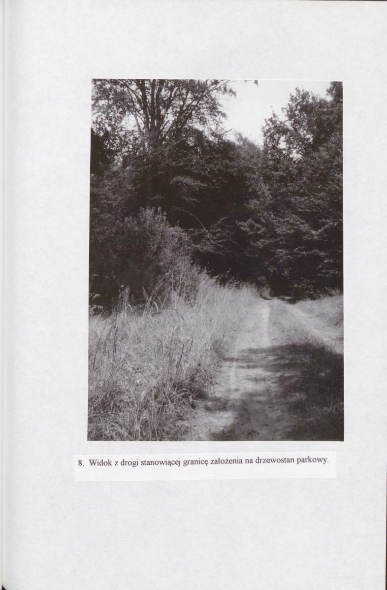 EP - Ewidencja parkowa, skan nr 33