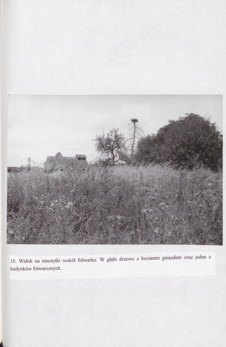 EP - Ewidencja parkowa, skan nr 35