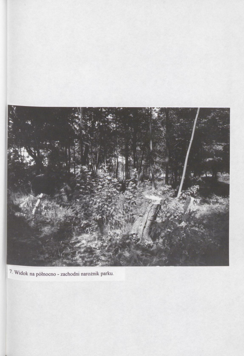 EP - Ewidencja parkowa, skan nr 30