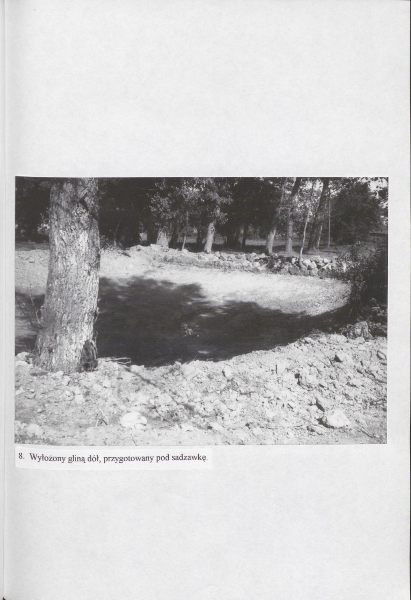 EP - Ewidencja parkowa, skan nr 31