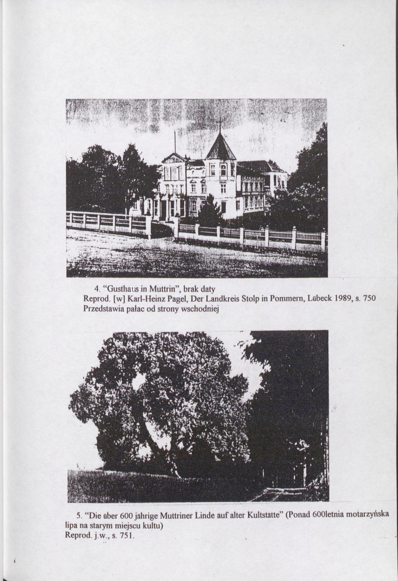 Ewidencja parkowa, skan nr 16