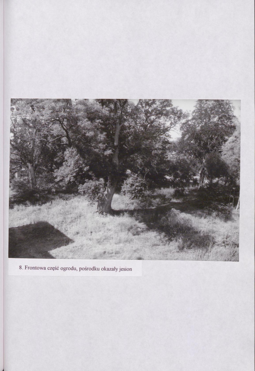 Ewidencja parkowa, skan nr 39