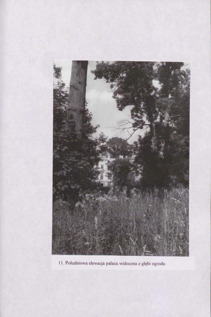 Ewidencja parkowa, skan nr 42