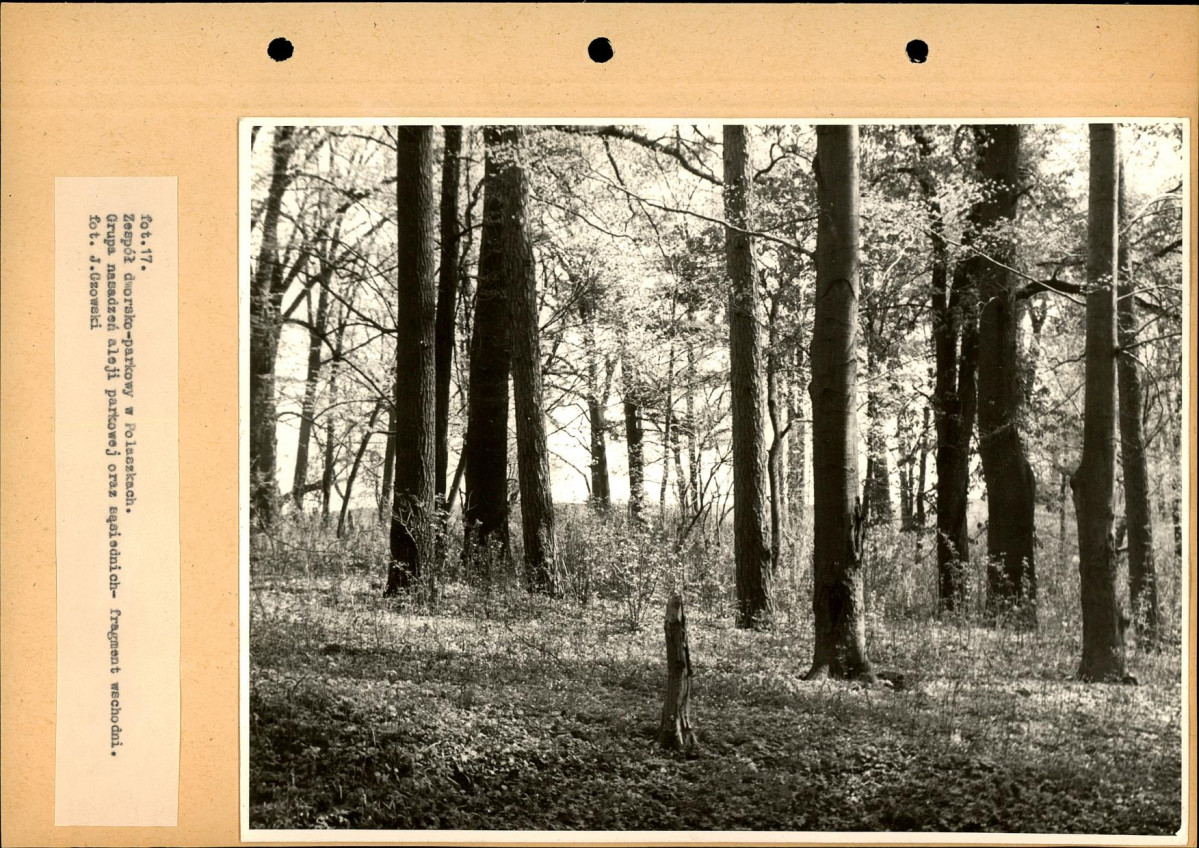 EP - Ewidencja parkowa, skan nr 40