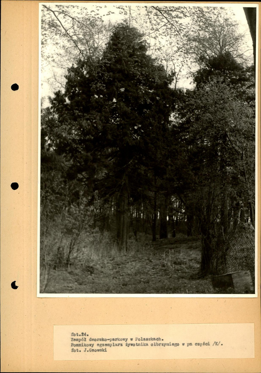 EP - Ewidencja parkowa, skan nr 47