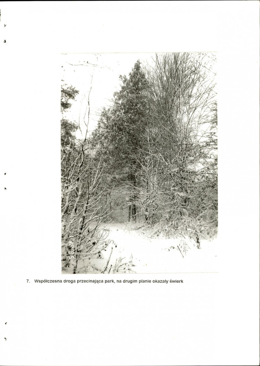 EP - Ewidencja parkowa, skan nr 26