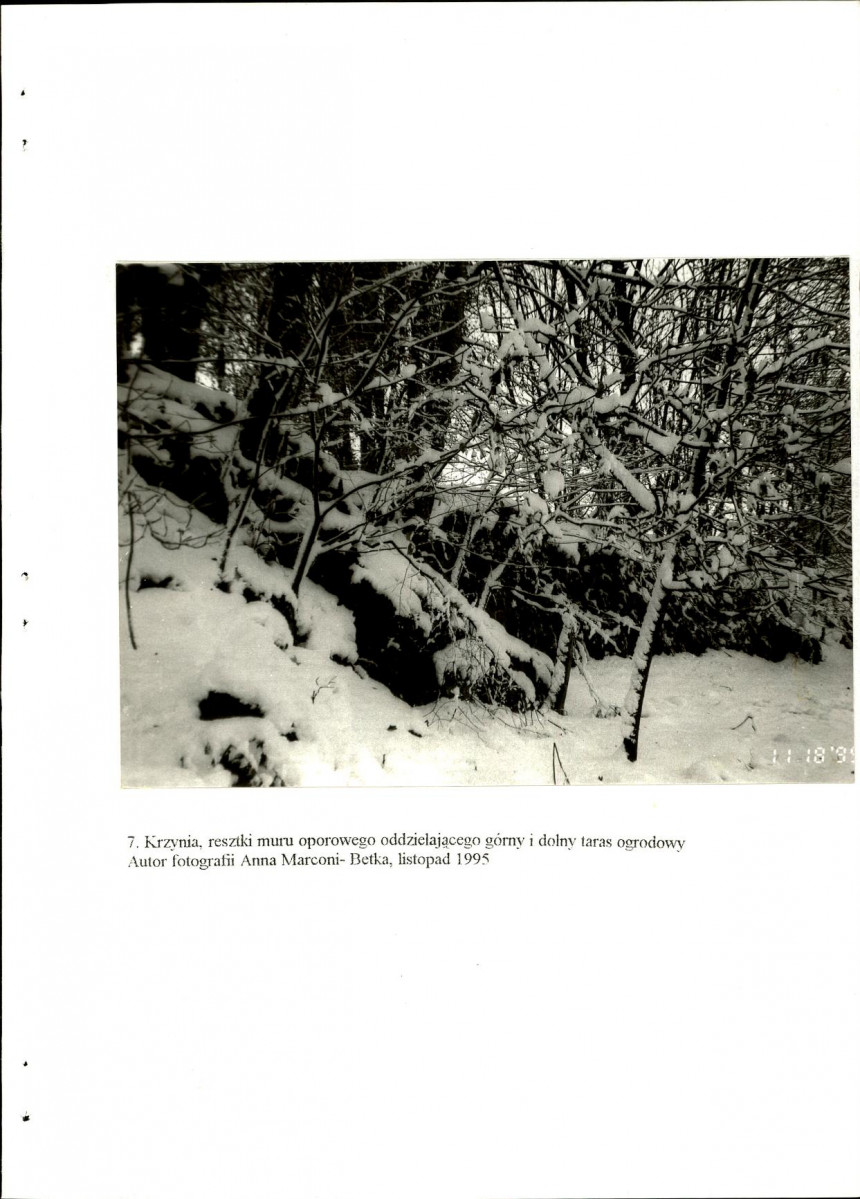EP - Ewidencja parkowa, skan nr 25