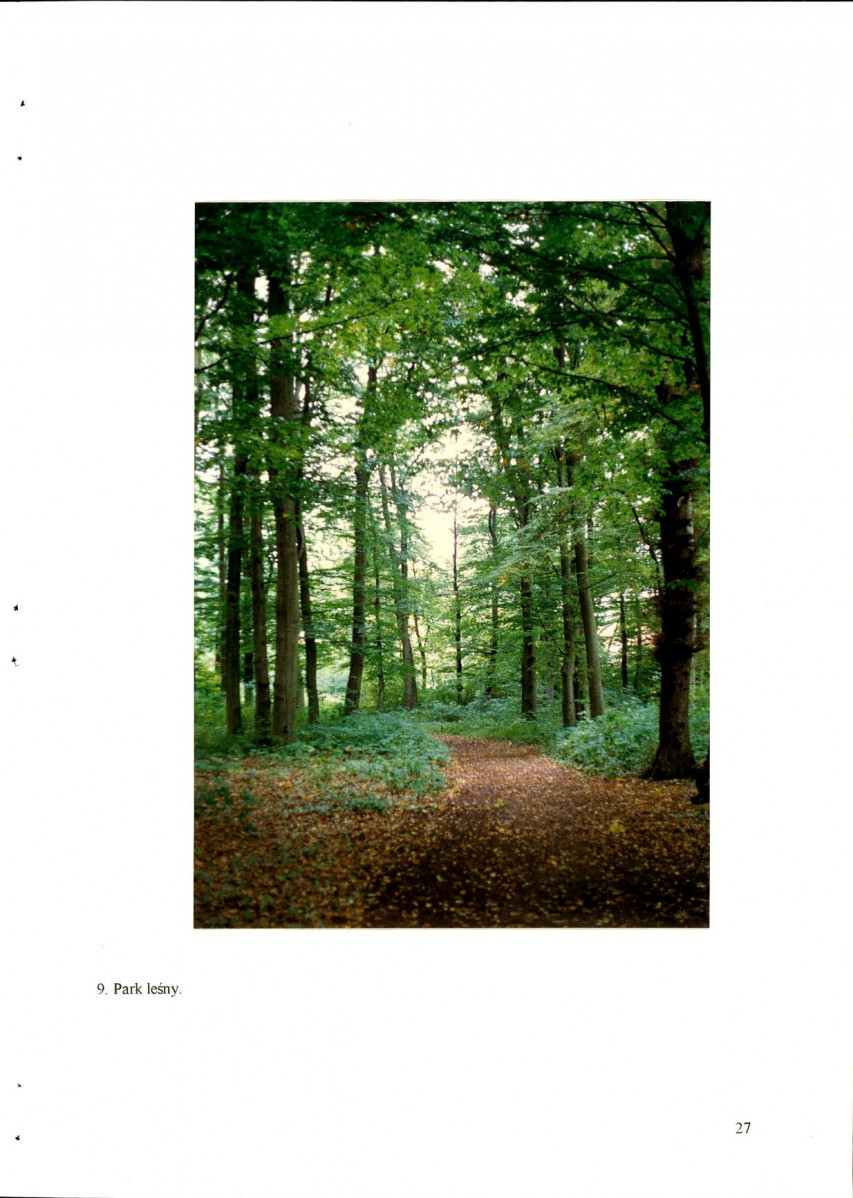 EP - Ewidencja parkowa, skan nr 34