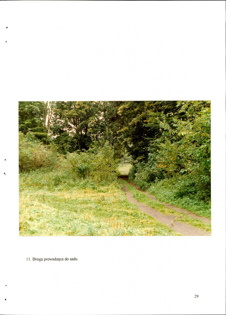 EP - Ewidencja parkowa, skan nr 36