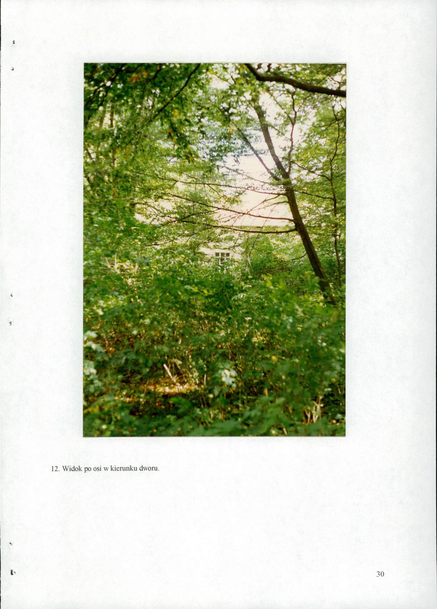 EP - Ewidencja parkowa, skan nr 38