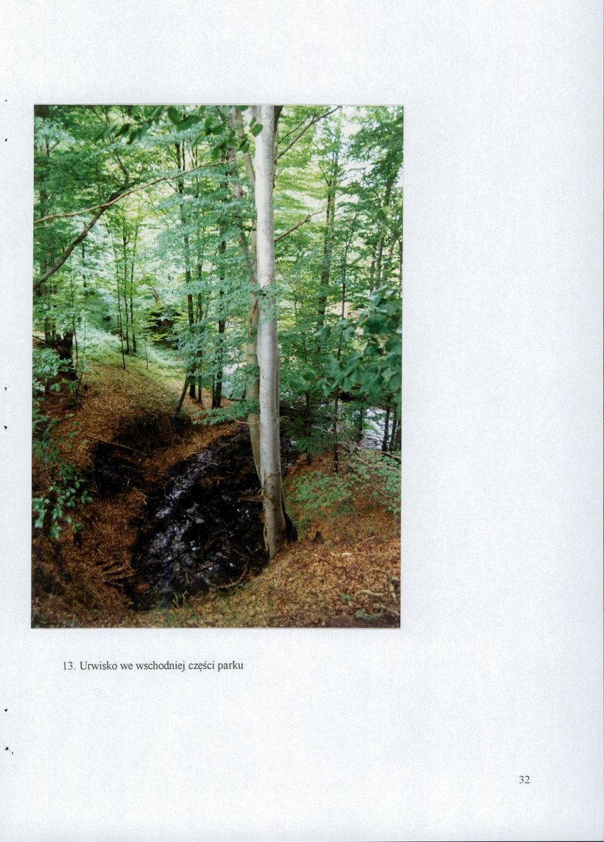 EP - Ewidencja parkowa, skan nr 40