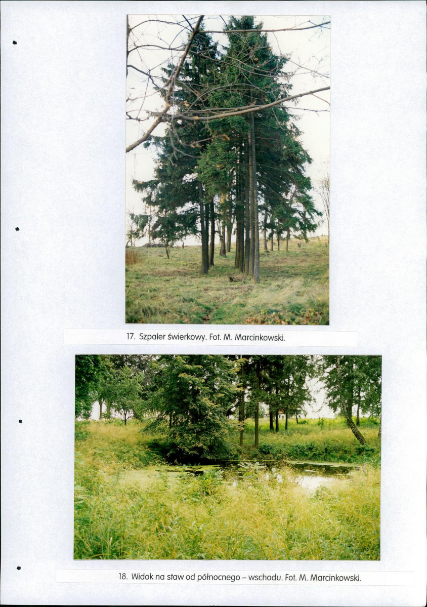 EP - Ewidencja parkowa, skan nr 38