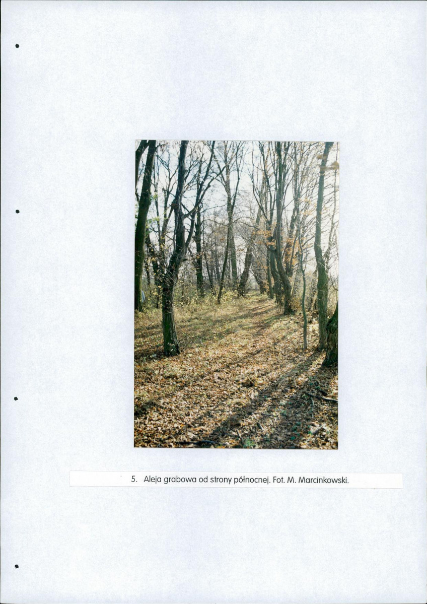 EP - Ewidencja parkowa, skan nr 32