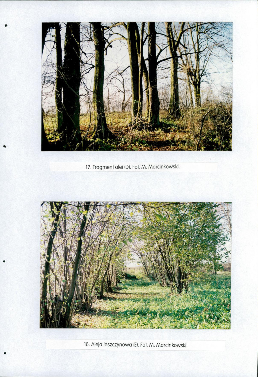 EP - Ewidencja parkowa, skan nr 66