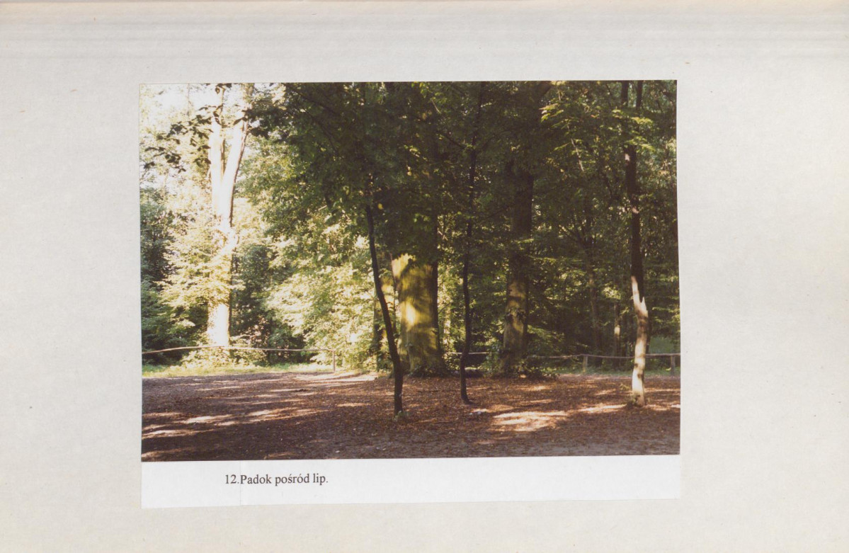 EP - Ewidencja parkowa, skan nr 55