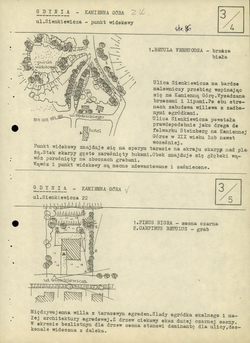 Ewidencja parkowa, skan nr 32