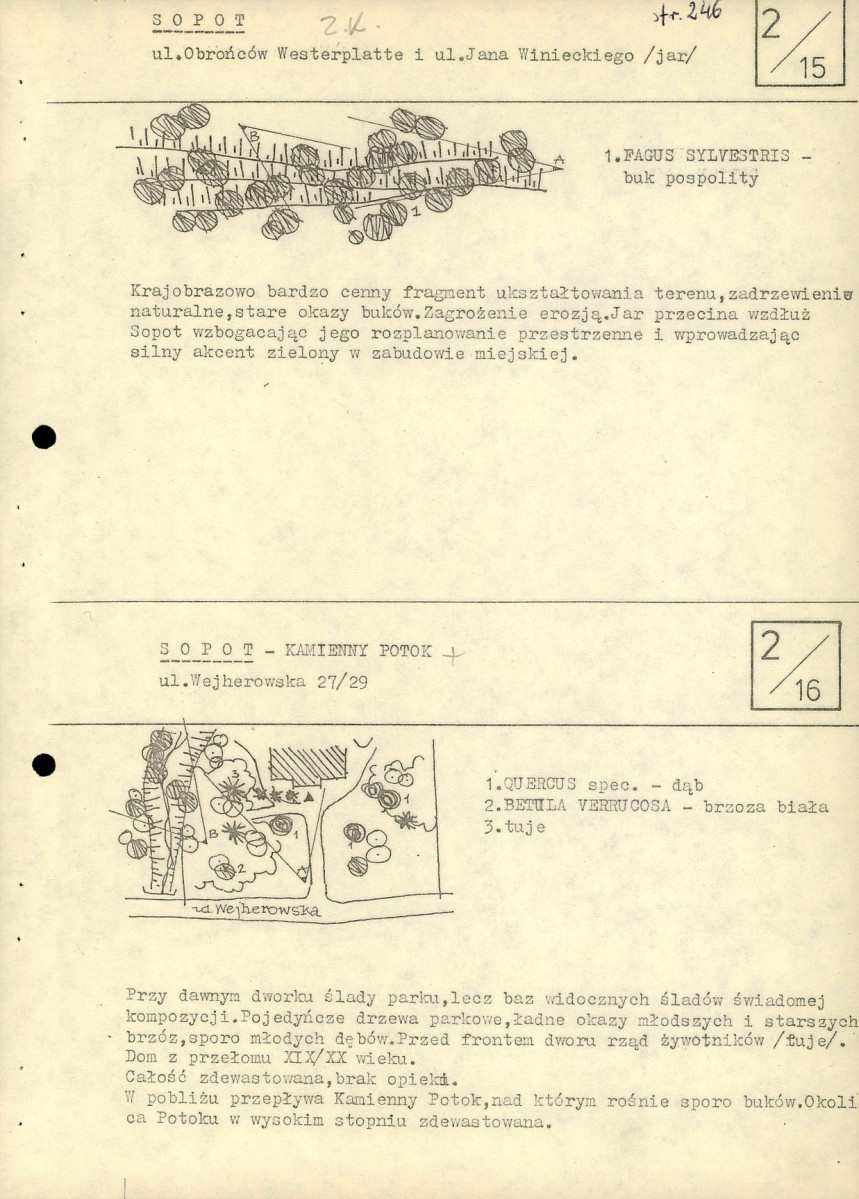 EP - Ewidencja parkowa, skan nr 31