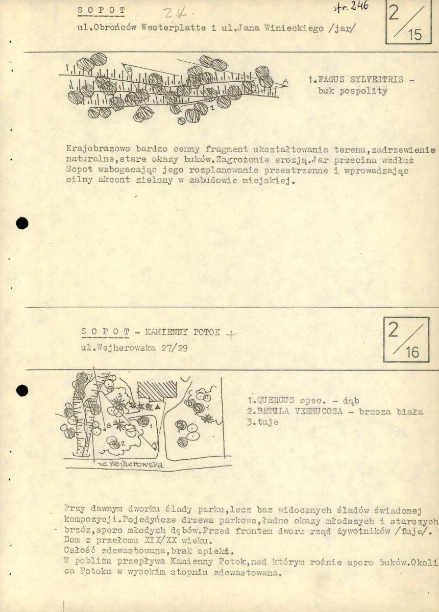 EP - Ewidencja parkowa, skan nr 31