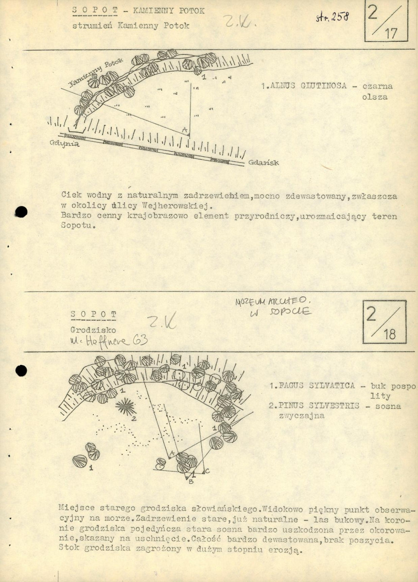 EP - Ewidencja parkowa, skan nr 30
