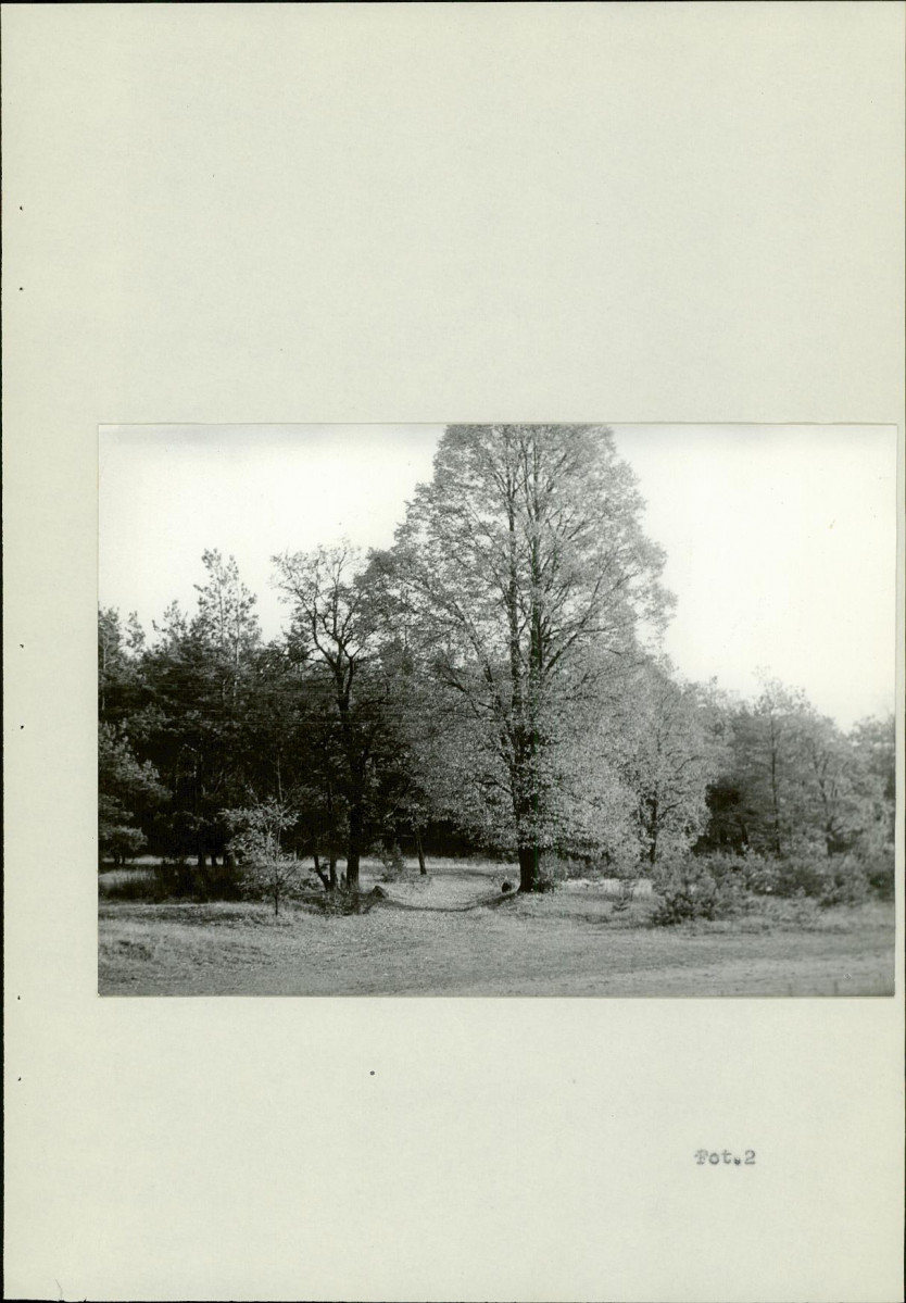 Ewidencja parkowa, skan nr 13