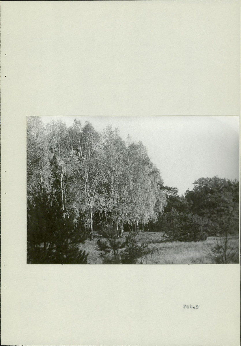 Ewidencja parkowa, skan nr 14