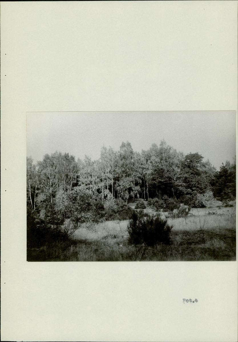Ewidencja parkowa, skan nr 15