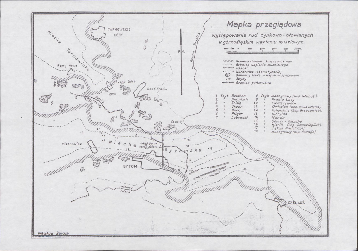 Karta biała, skan nr 10