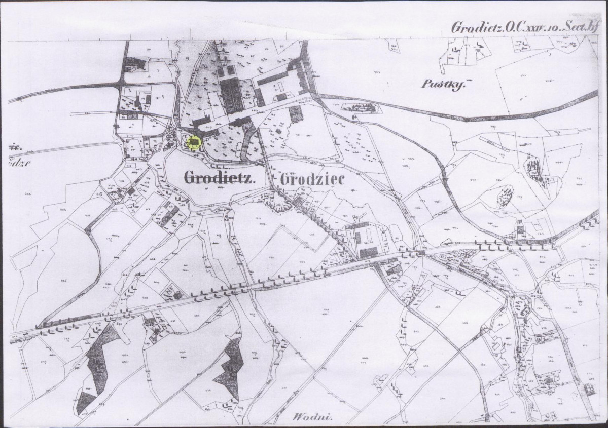 Karta biała, skan nr 6