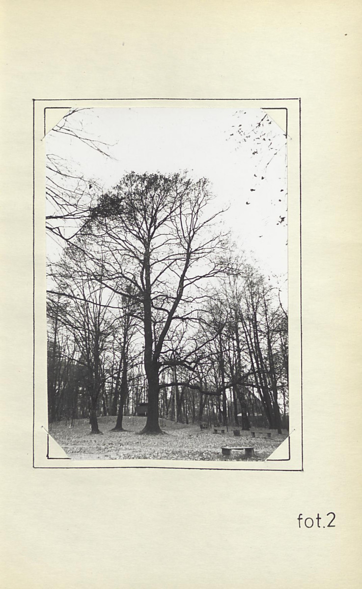 Ewidencja parkowa, skan nr 14