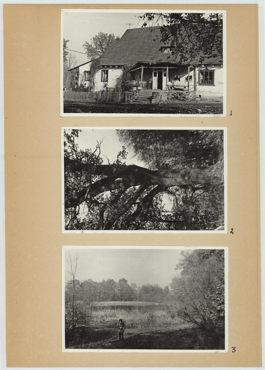 Ewidencja parkowa, skan nr 10