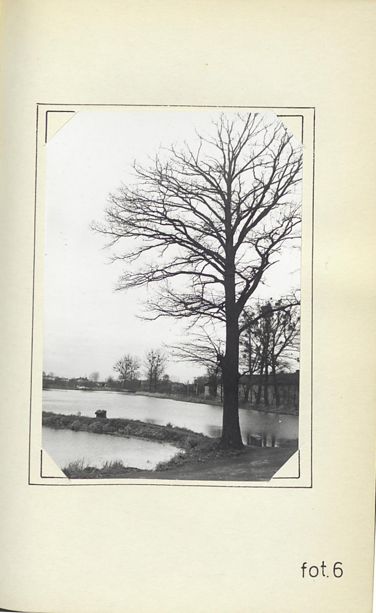 Ewidencja parkowa, skan nr 26