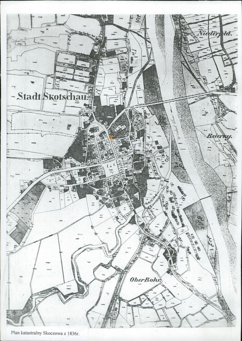 Karta biała, skan nr 6