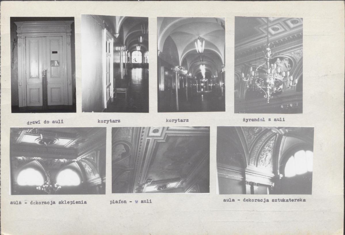 Karta biała, skan nr 13