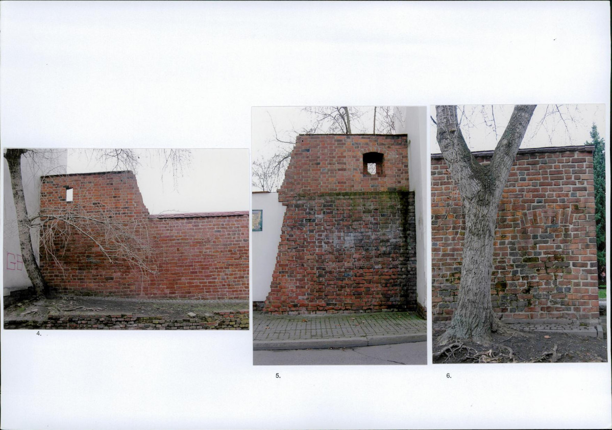 Karta biała, skan nr 6