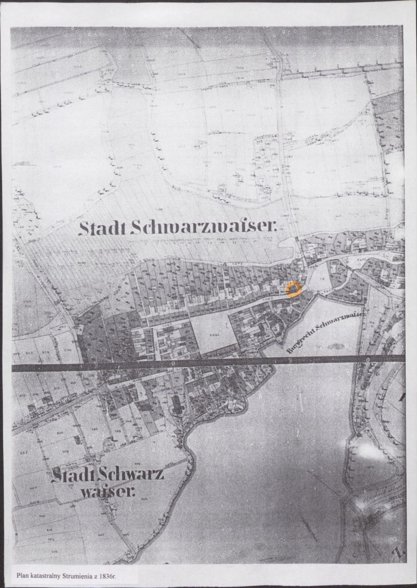 Karta biała, skan nr 8