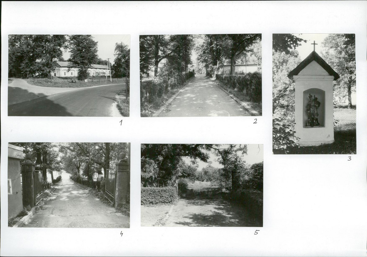 Karta biała, skan nr 10