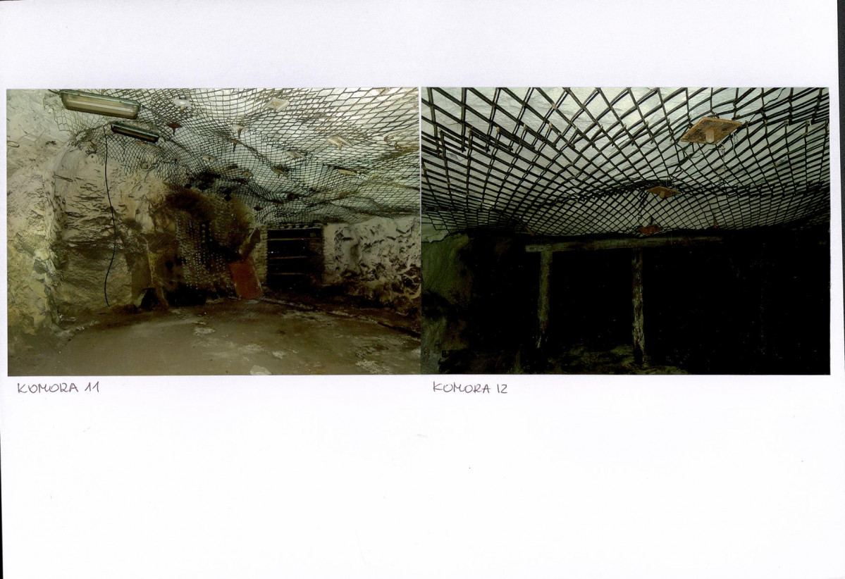 Karta biała, skan nr 14