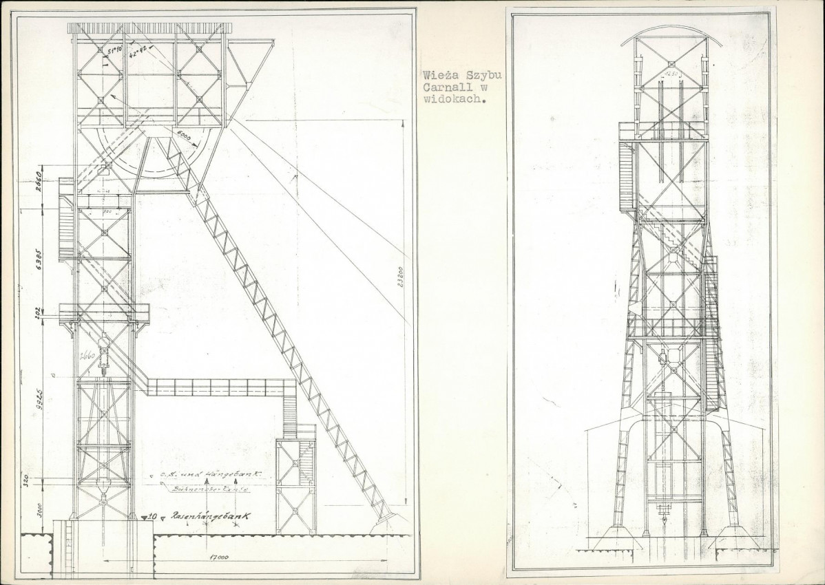 Karta biała, skan nr 8