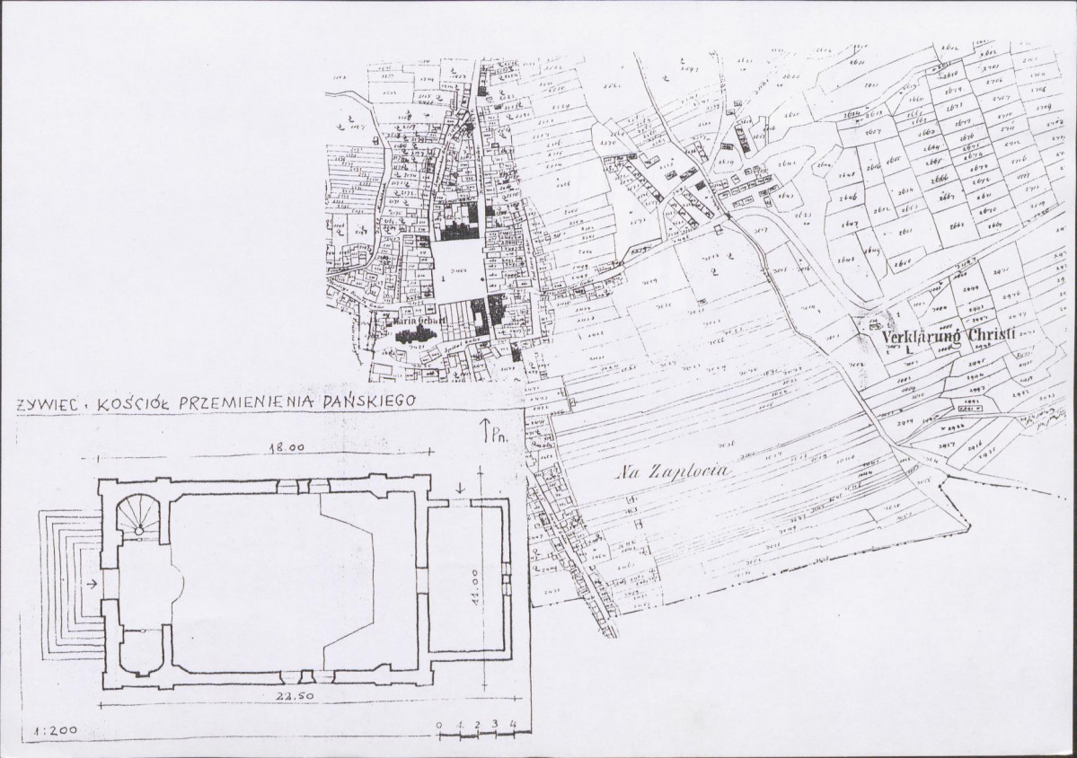 KB - Karta biała, skan nr 8